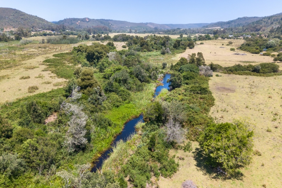 Commercial Property for Sale in Wittedrift Western Cape